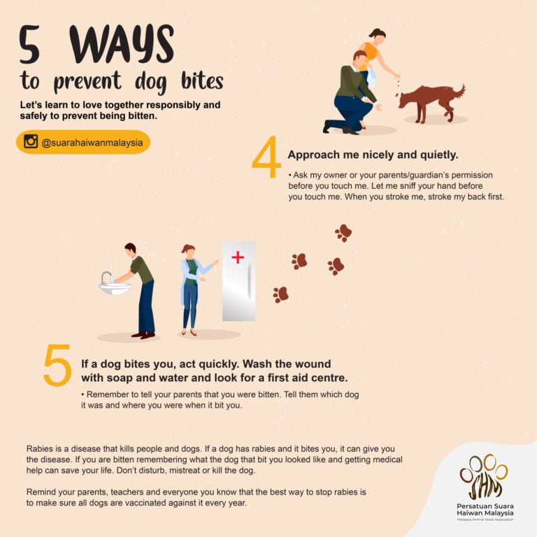 Ways to prevent dog bites step 1